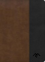 CSB Men of Character Bible, Brown/Black Leathertouch