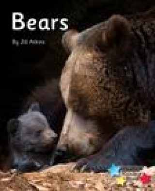 Bears