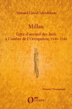 Millau. Terre d'accueil des Juifs ? l'ombre de l'Occupation, 1940-1944