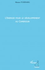 L'énergie pour le développement au Cameroun