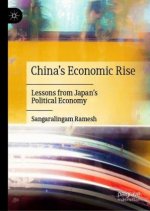 China's Economic Rise