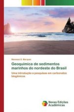 Geoquimica de sedimentos marinhos do nordeste do Brasil