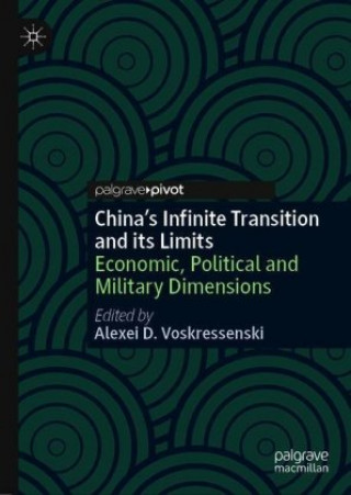 China's Infinite Transition and Its Limits: Economic, Military and Political Dimensions