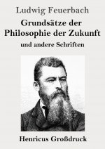 Grundsatze der Philosophie der Zukunft (Grossdruck)