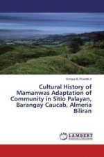 Cultural History of Mamanwas Adaptation of Community in Sitio Palayan, Barangay Caucab, Almeria Biliran