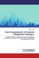 Cost Assessment of Seismic Mitigation Designs