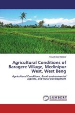 Agricultural Conditions of Baragere Village, Medinipur West, West Beng