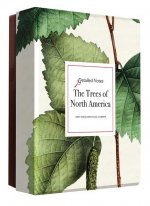 Trees of North America