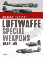 Luftwaffe Special Weapons 1942-45