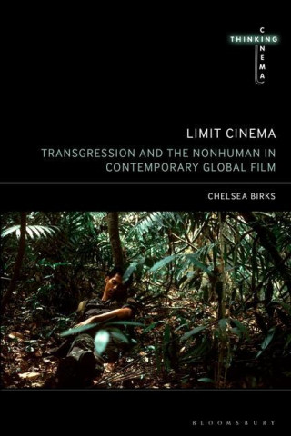 Limit Cinema