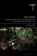 Limit Cinema