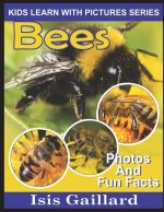 Bees: Photos and Fun Facts for Kids
