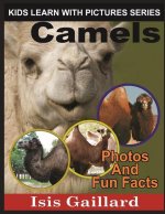 Camels: Photos and Fun Facts for Kids