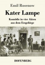Kater Lampe
