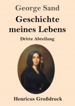 Geschichte meines Lebens (Grossdruck)