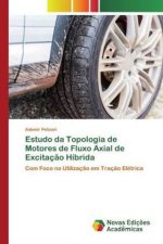 Estudo da Topologia de Motores de Fluxo Axial de Excitacao Hibrida
