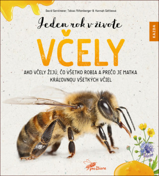 Jeden rok v živote včely