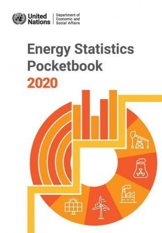 Energy Statistics Pocketbook 2020