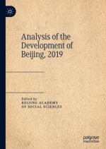Analysis of the Development of Beijing, 2019