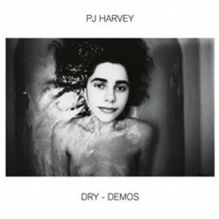 Dry-Demos