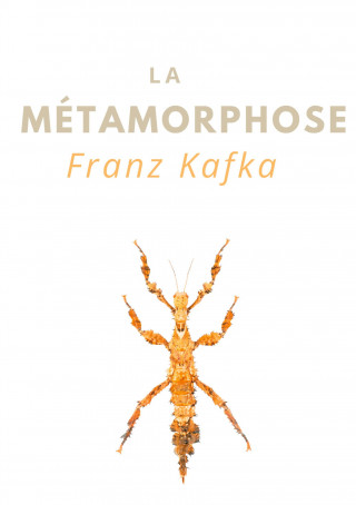 Metamorphose