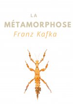 Metamorphose
