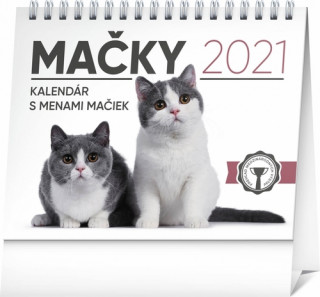 Mačky 2021