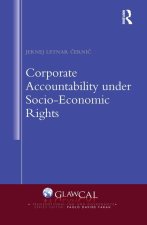 Corporate Accountability under Socio-Economic Rights