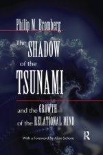 Shadow of the Tsunami