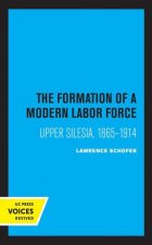 Formation of a Modern Labor Force