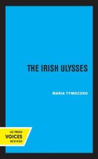 Irish Ulysses