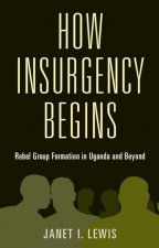 How Insurgency Begins