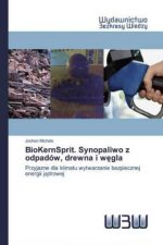 BioKernSprit. Synopaliwo z odpadow, drewna i węgla