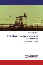 Petroleum supply chain in Cameroon