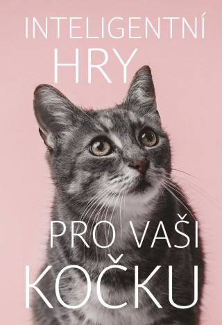 Inteligentnďż˝ hry pro vaďż˝i koďż˝ku