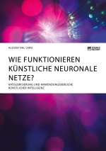 Wie funktionieren kunstliche neuronale Netze? Kategorisierung und Anwendungsbereiche kunstlicher Intelligenz