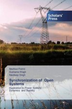 Synchronization of Open Systems