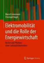 Elektromobilitat Und Die Rolle Der Energiewirtschaft