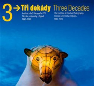 Tři dekády / Three Decades (Vladimír Birgus)(Brožovaná)