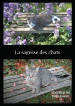 sagesse des chats