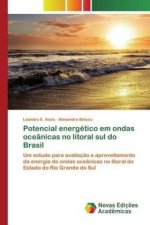 Potencial energetico em ondas oceanicas no litoral sul do Brasil
