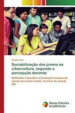 Sociabilizacao dos jovens na cibercultura, segundo a percepcao docente