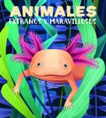 ANIMALES EXTRAÑOS Y MARAVILLOSOS (VVKIDS)