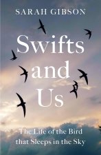 Swifts and Us