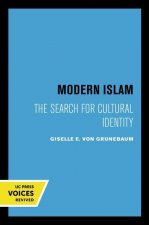 Modern Islam