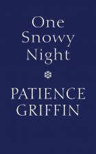 One Snowy Night