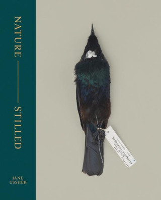 Nature - Stilled