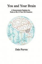 You and Your Brain