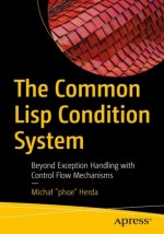 Common Lisp Condition System