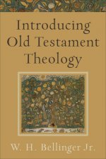 Introducing Old Testament Theology